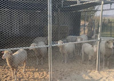 Stocked Mobi-kraal