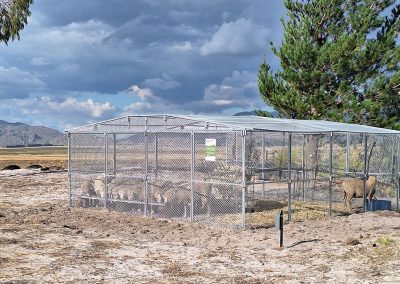 Stocked Mobi-kraal