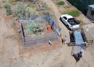 Packing the Mobi-kraal