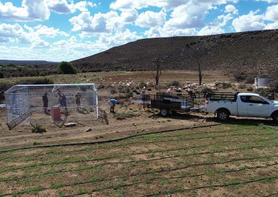 Building the Mobi-kraal